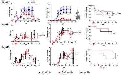 CpG-Activated Regulatory B-Cell Progenitors Alleviate Murine Graft-Versus-Host-Disease